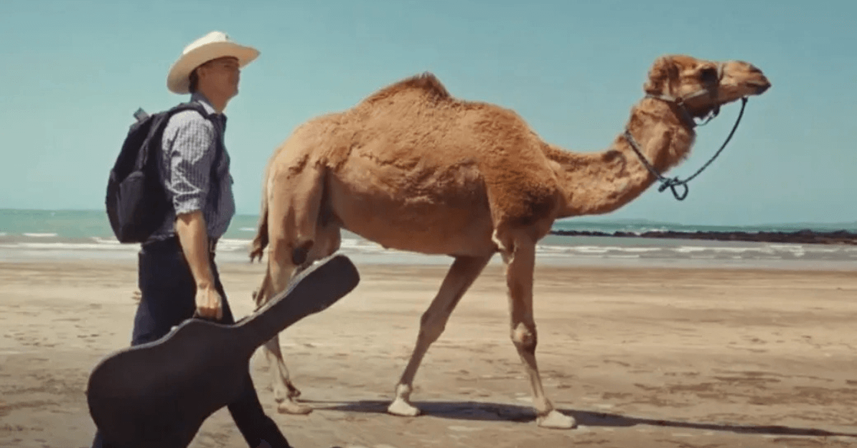 Australian Idol returned for its 2024 season on Channel 7 and 7plus, premiering Monday 29 January 2024. Ricki-Lee Coulter and Scott Tweedie were back as hosts, with judges Kyle Sandilands, Amy Shark and returning original judge Marcia Hines.